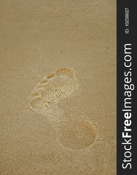 Footprints In The Sand