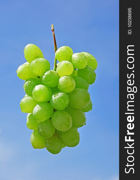 Grapes on a background of sky