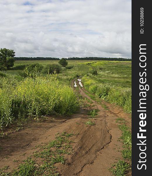 Dirt road in the field