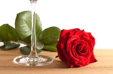 Red Rose And Wine Glass Stock Images Red Rose And Wine Glass Stock Images