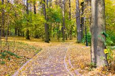Autumn Colors In The Park Royalty Free Stock Image Autumn Colors In The Park Royalty Free Stock Image