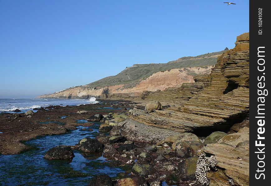 View of the ocean at low tide