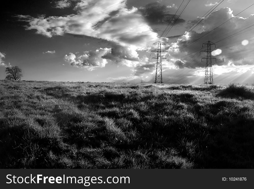 Electricity pylons in a field shot with heavy contrast black and white