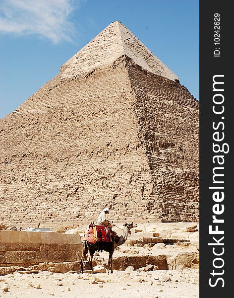 Great egyptian pyramid and man on the camel