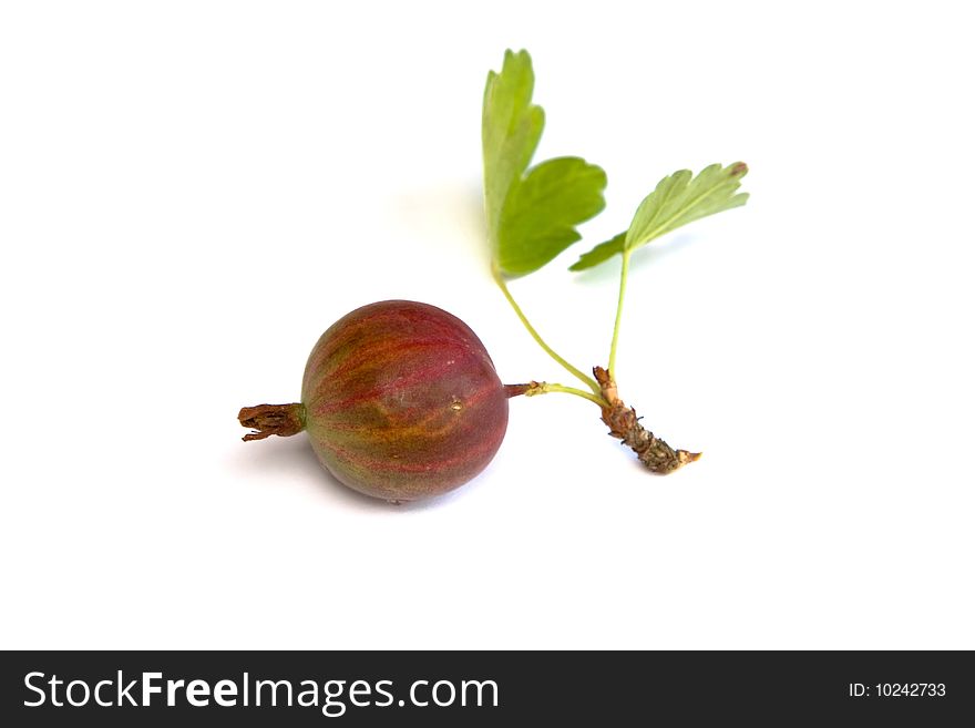 Green gooseberry isolated on white