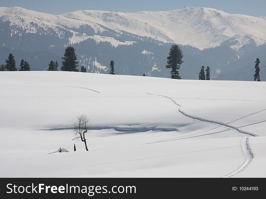 Himalayas mountain at winter. Single leafless tree on crystal-clear snow-covered landscape. Himalayas mountain at winter. Single leafless tree on crystal-clear snow-covered landscape