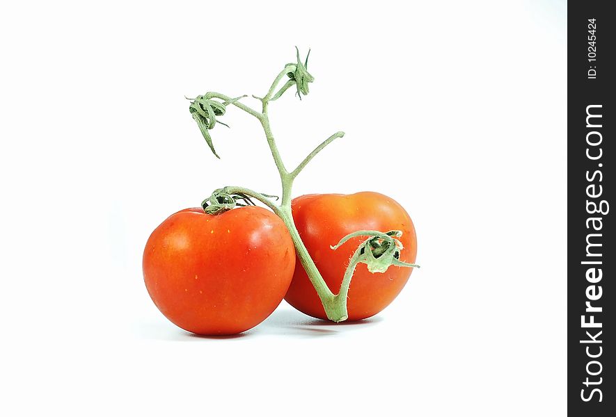 Beautiful fresh red tomato over white. Beautiful fresh red tomato over white