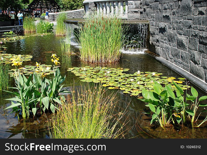 Decorative Pond