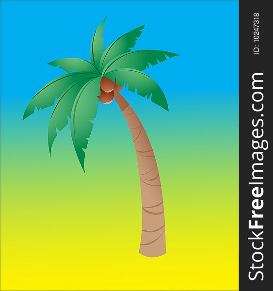 Coconut tree isolated in a color background