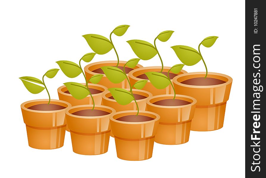 A group of flowerpots with Seedlings on a white background