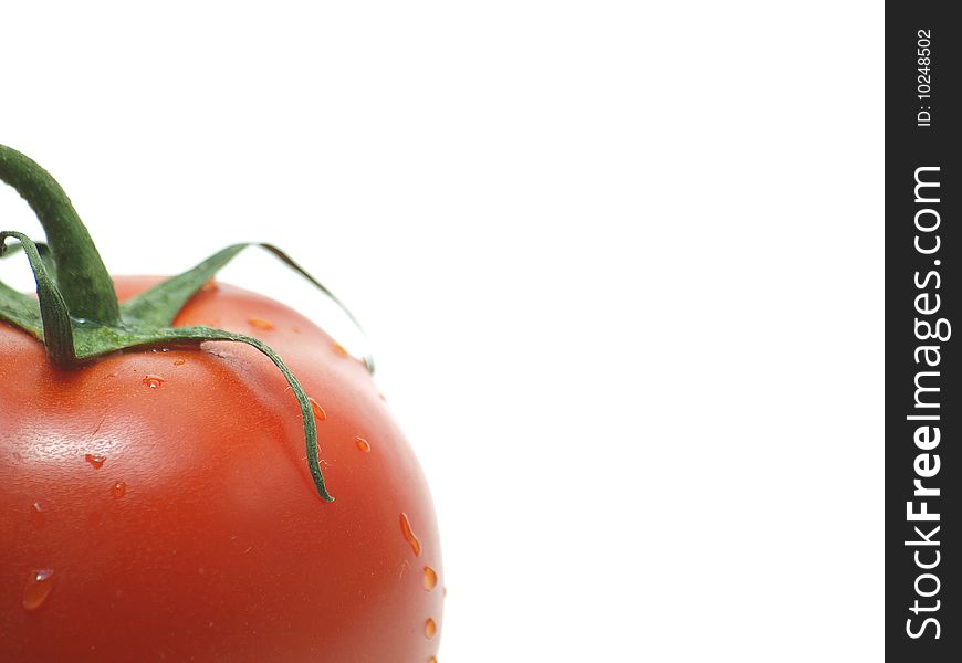 A juicy tomato fresh off the vine isolated on a white background. A juicy tomato fresh off the vine isolated on a white background.