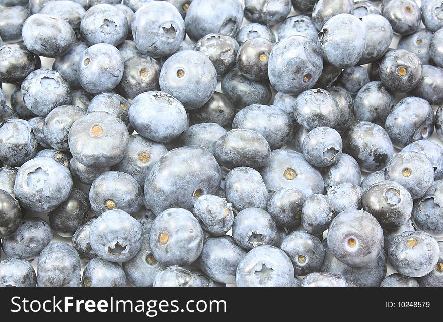 Blueberries Everywhere