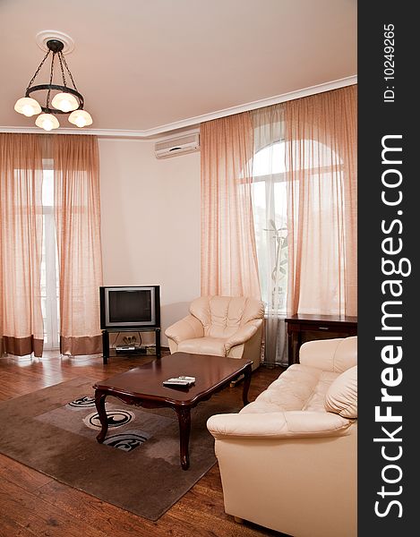 Modern furnished luxury living room