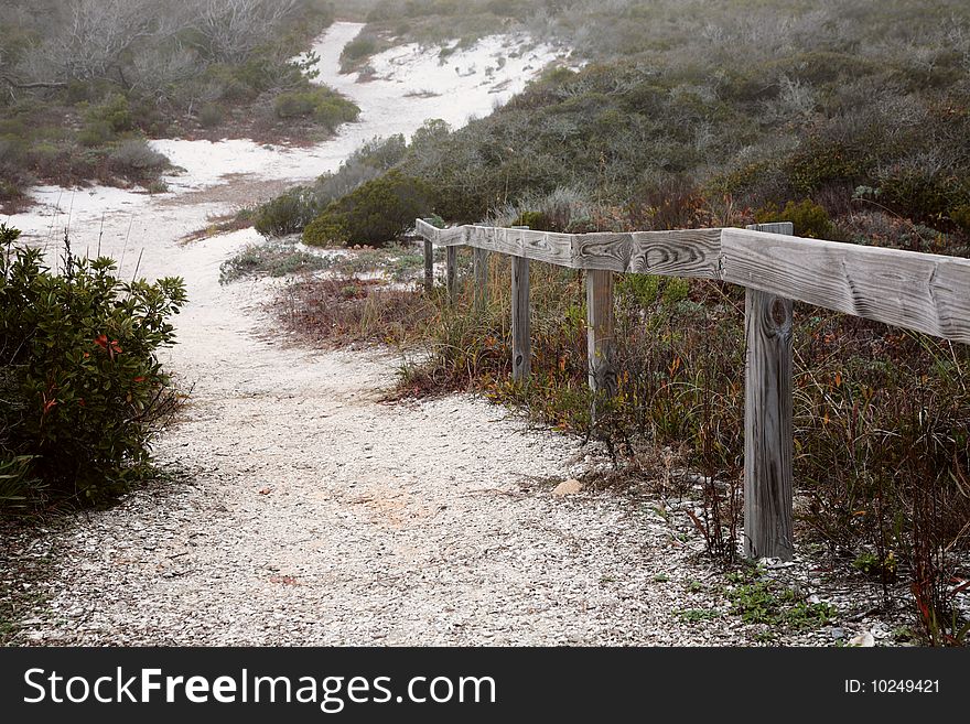 Path sand dune way walkway travel hill. Path sand dune way walkway travel hill