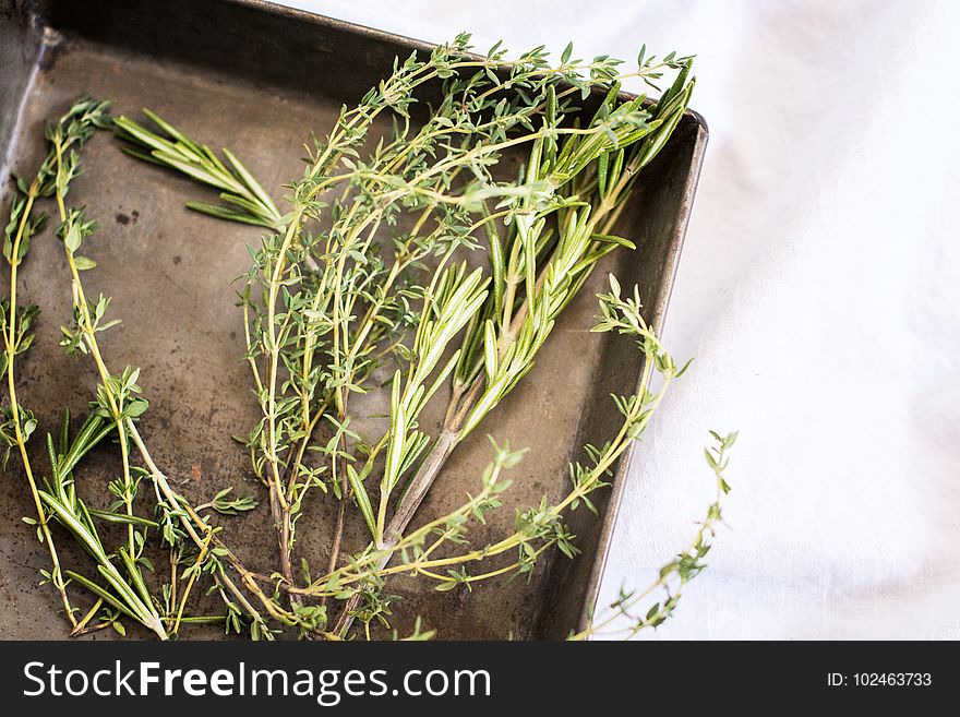 Fresh Herbs â€“ Rosemary And Thyme