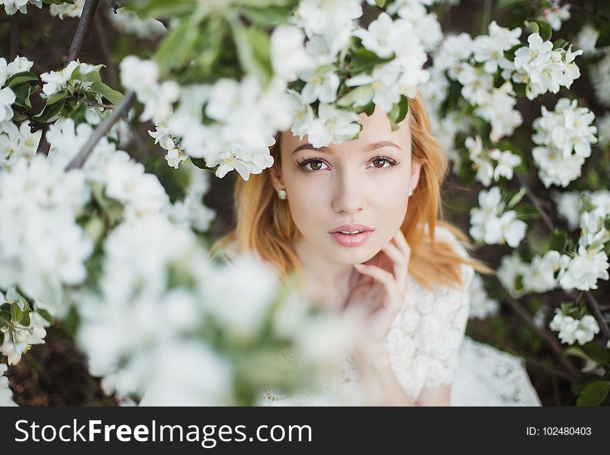 Flower, Bride, Photograph, Woman