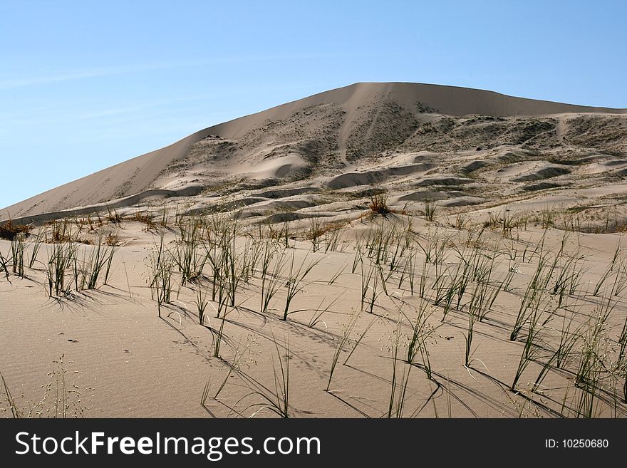 Kelso Sand Dunes In Mojave Desert, California