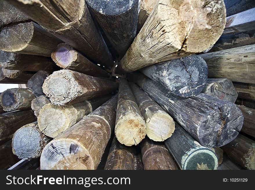 Pile of logs of wood to mature