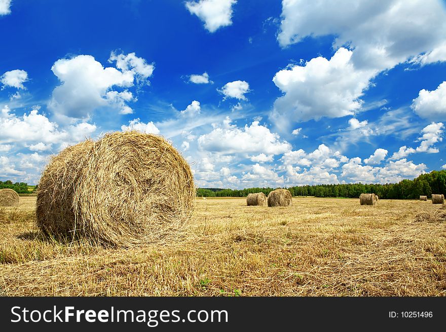 Beautiful rural landscape of a field with hay rolls. Beautiful rural landscape of a field with hay rolls