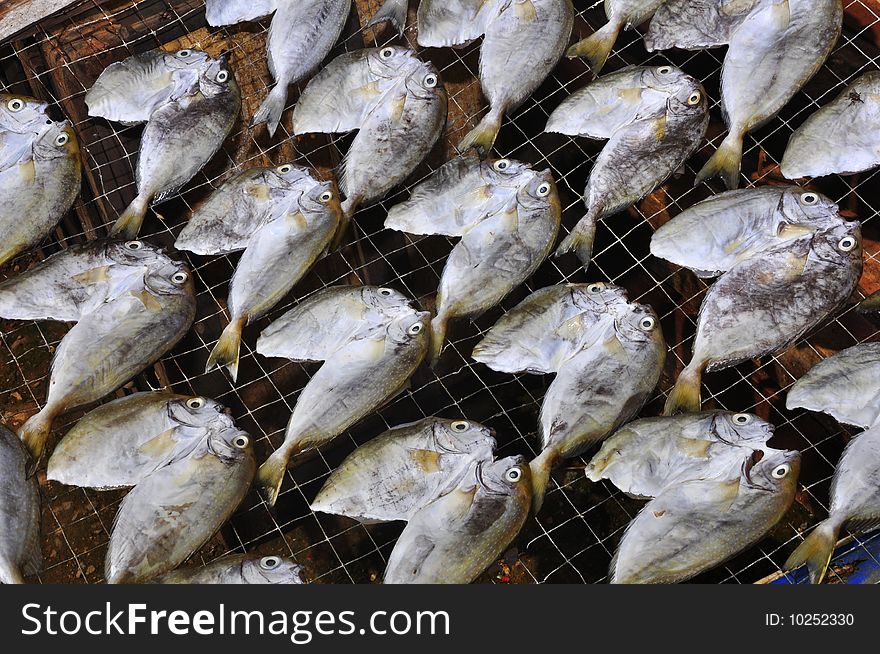 Traditional fish drying under the sun in a rural area. Traditional fish drying under the sun in a rural area