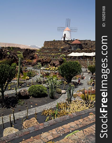 This cactus garden can be found on the Canary isle of Lanzarote. It is designed by a famous architect CÃ©sar Manrique who died in 1992. It contains sever thousands different cactus varieties from al over the world. A windmill and cafeteria oversees the huge garden.