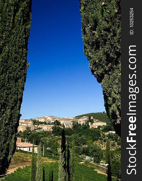 In Frame Of Cypresses