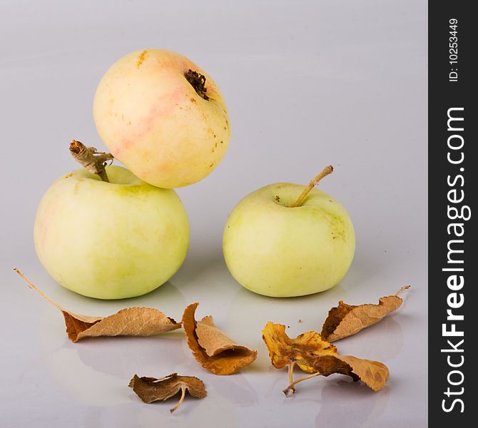 Three small apples and dried up leaves on light background