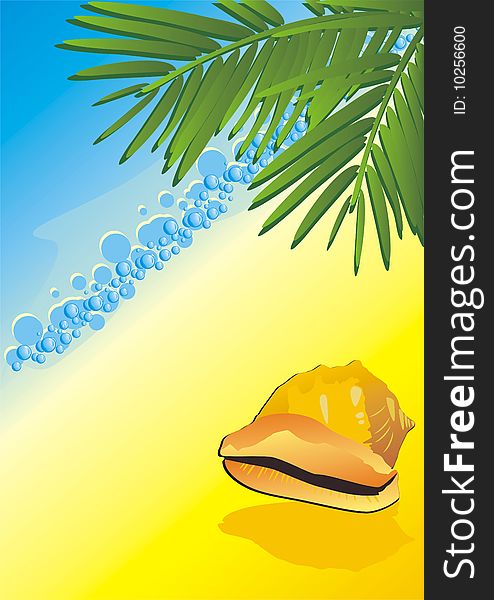 Cockleshell among the branches of palms. Vector illustration