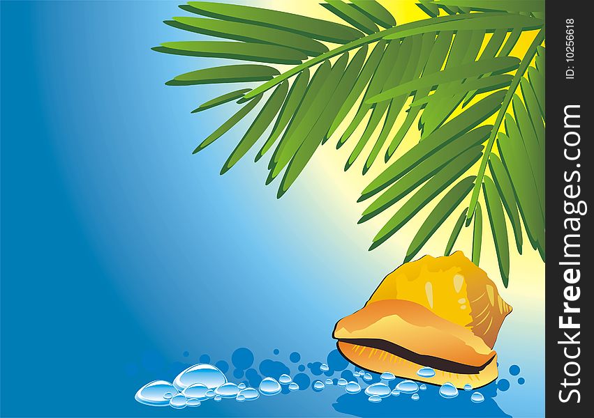 Cockleshell among the water and branches of palms. Vector illustration. Cockleshell among the water and branches of palms. Vector illustration