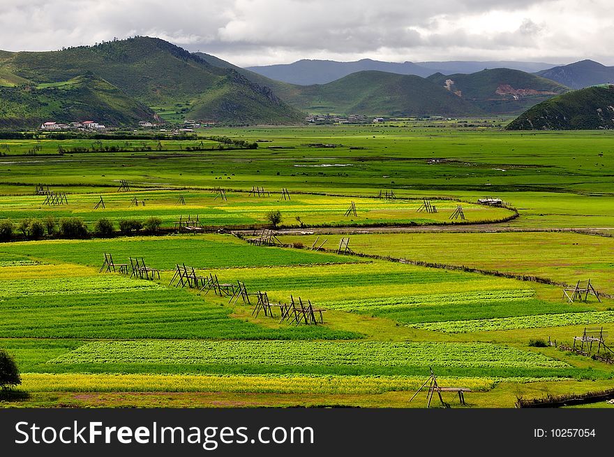 Shangri-La Ranch scenery