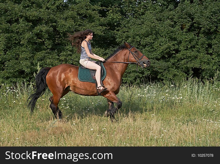 Girl trot a horse