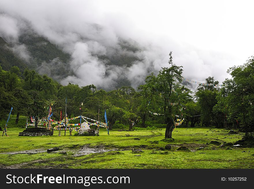 Shangri-La Ranch scenery