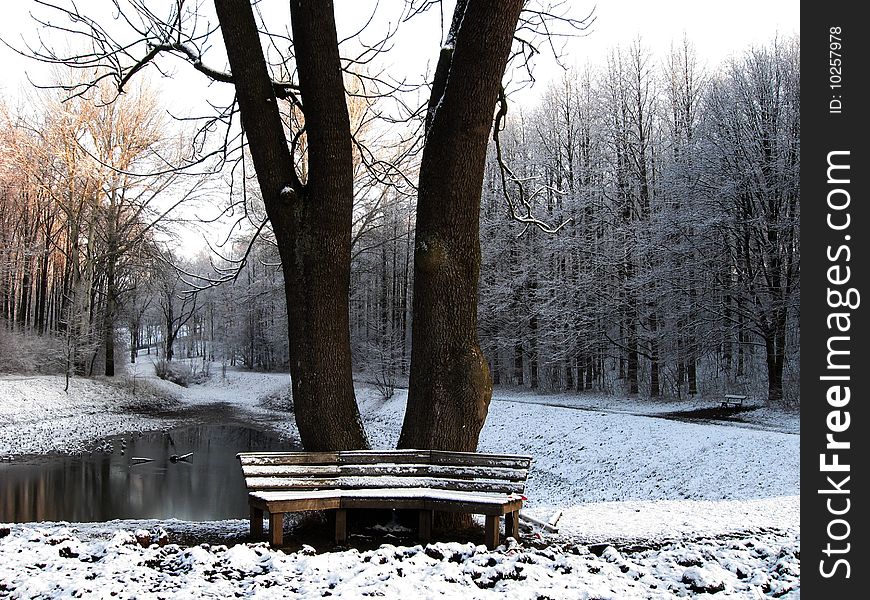 Park, morning, late snow, forest lake. Park, morning, late snow, forest lake