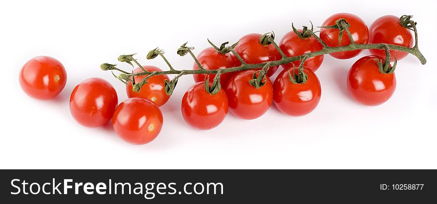 Cherry tomatoes on the branch on a white background