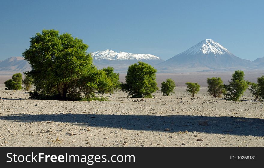 The Licancabur Volcano in the Andes Mountains. The Licancabur Volcano in the Andes Mountains.