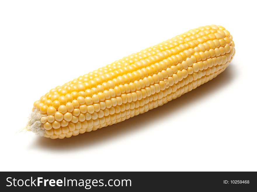 Single isolated corn cob on white background