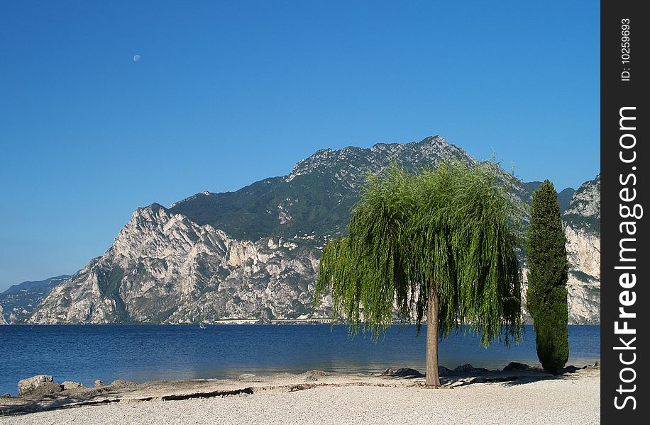 Scenery of Lake Garda with tree, Trentino, Italy. Scenery of Lake Garda with tree, Trentino, Italy