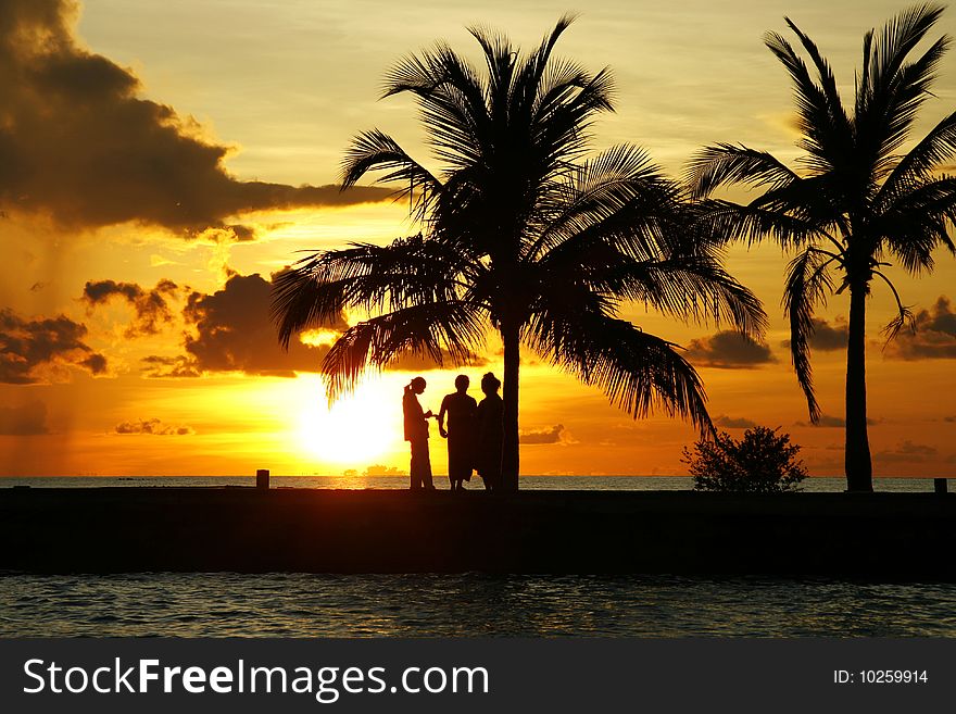 Sunset with palm trees on te Maldives. Sunset with palm trees on te Maldives