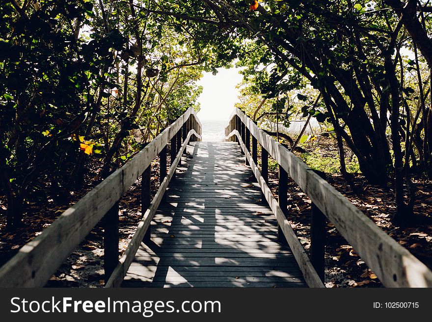 Beach, Boardwalk, Bridge, Daylight