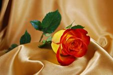 Satin Beauty Royalty Free Stock Image Satin Beauty Royalty Free Stock Image