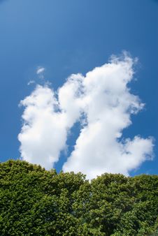 Tree Against Blue Sky Stock Photo Tree Against Blue Sky Stock Photo