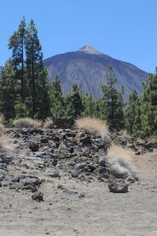 Pico Del Teide Royalty Free Stock Images
