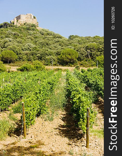 Chateau-Saint-Martin with vineyard, Languedoc-Roussillon, France