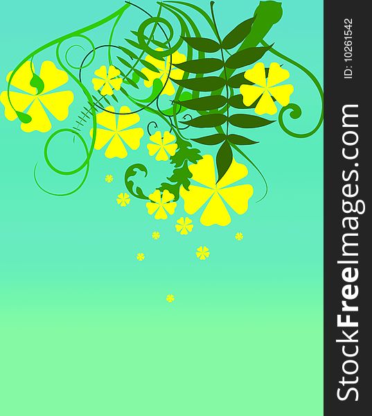 Floral yellow flowers and green background. Floral yellow flowers and green background