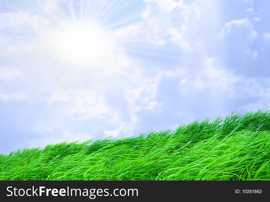 Abstract scene green grass on meadow under blue sparkling sky. Abstract scene green grass on meadow under blue sparkling sky