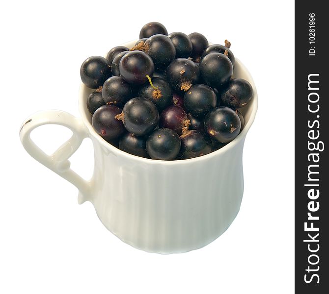 Black currant in a cup on a white background