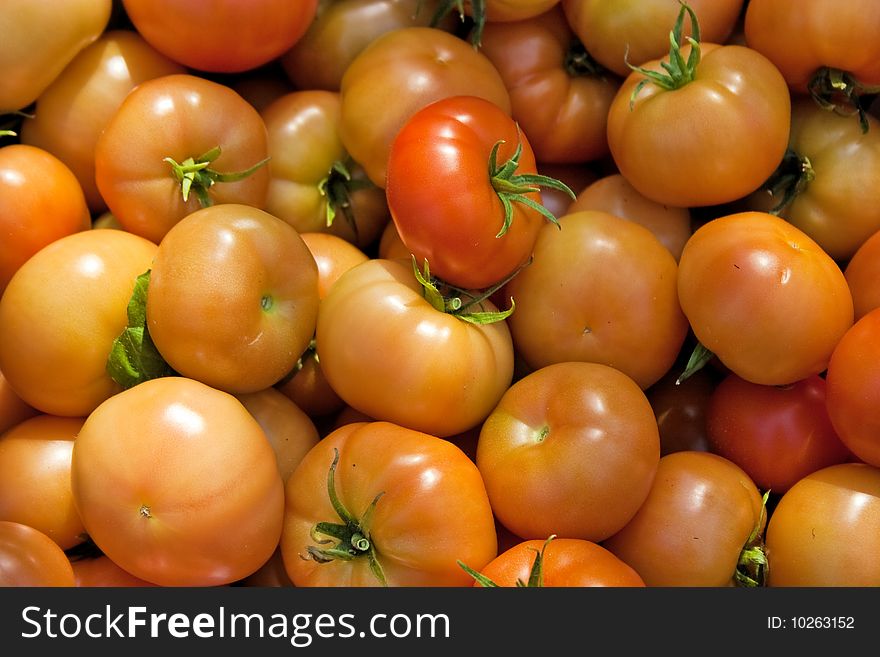 Crop of tomatoes in a box.