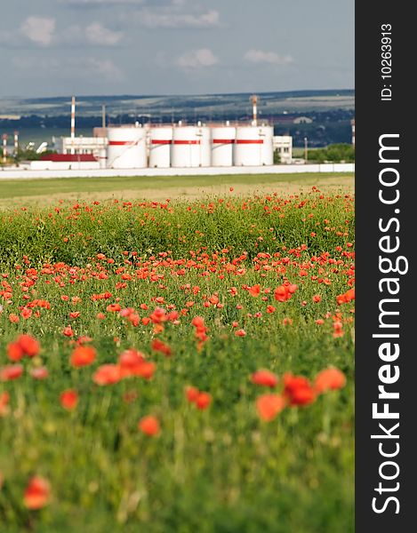 Oil storage tanks at blooming poppy field. Oil storage tanks at blooming poppy field