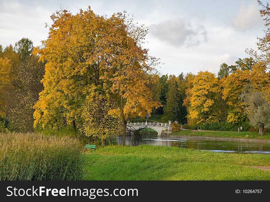 Autumn landscape with sky, trees and pond. Autumn landscape with sky, trees and pond