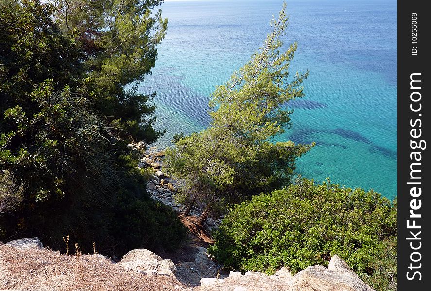 View on a sea coast in summer